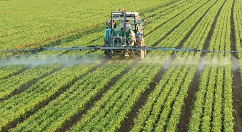 Látványosan felgyorsult a támogatási döntéshozatal ezeknél a pályázatoknál