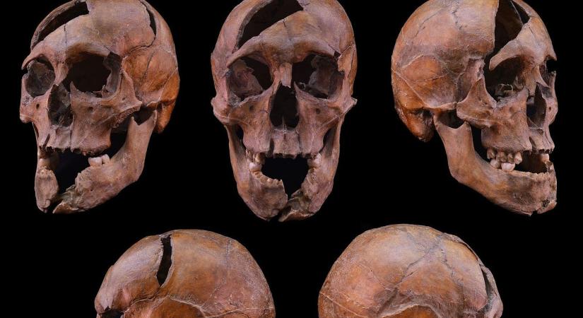 Több mint 700 év után rekonstruálták Béla macsói herceg meggyilkolásának körülményeit