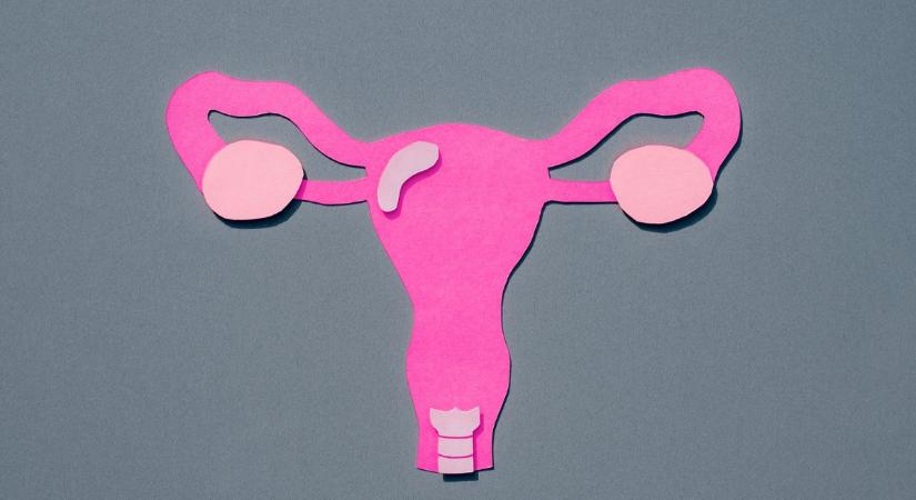 Kvíz: Mennyit tudsz a női test működéséről?