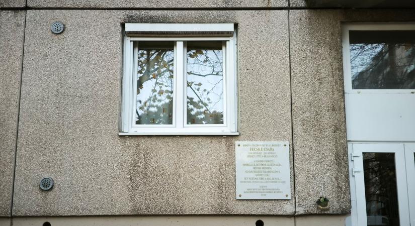 Anyegintől Gesztenyésig: az avasi panel falán az alkotóra emlékeztet a tábla (képekkel, videóval)