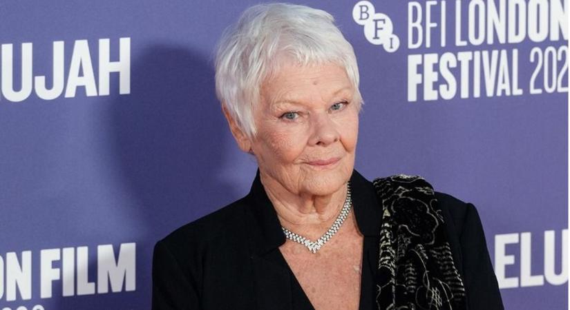 Judi Dench fájdalmas vallomást tett: immáron teljesen megvakult