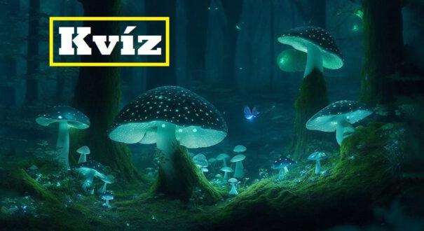 Nyolc gyors kvíz kérdés: Te is azok közé tartozol, akik ennek a tesztnek legalább a felét teljesítik? (896)