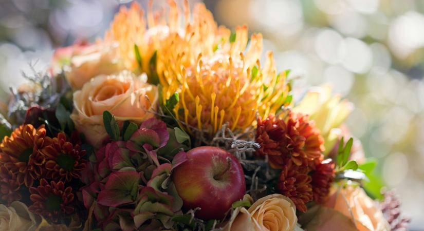 Ma, 2025. november 8. Zsombor névnapja van – Mit árul el a név a személyiségről?