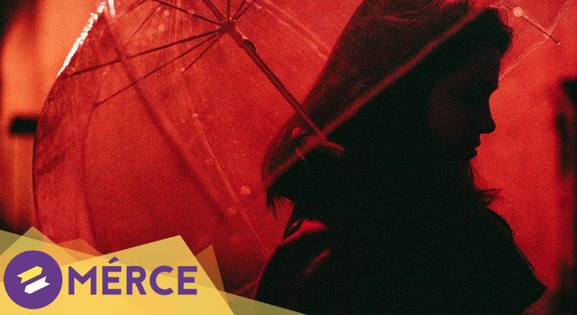 Magyar nők a belga szexiparban