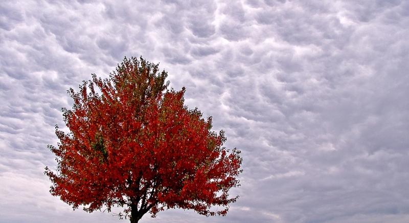 A hétvégén már egyre inkább a felhőké lesz a főszerep