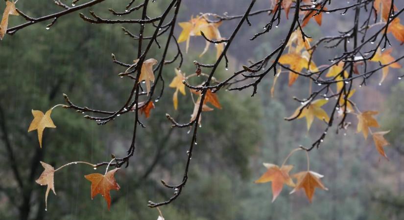 Esős, szeles nap vár Szegedre