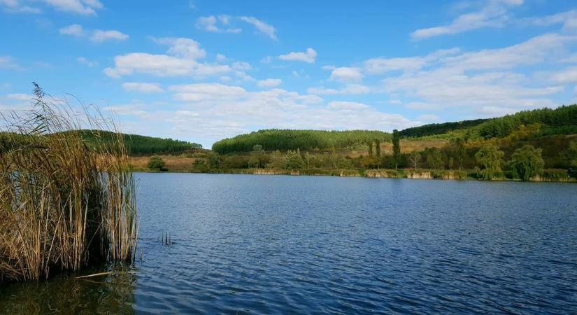 Kivonult a hatóság a hevesi horgásztóhoz! Itt van, amit a meglepetésrazzián találtak
