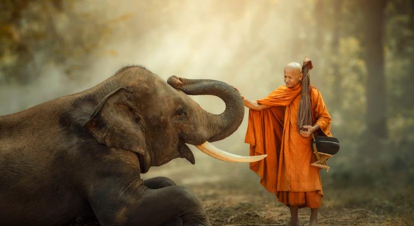 Az év utolsó tízmilliószoros napja jön november 11-én