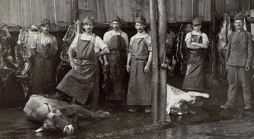 Megyeri Edit Tünde: Mások feldarabolása