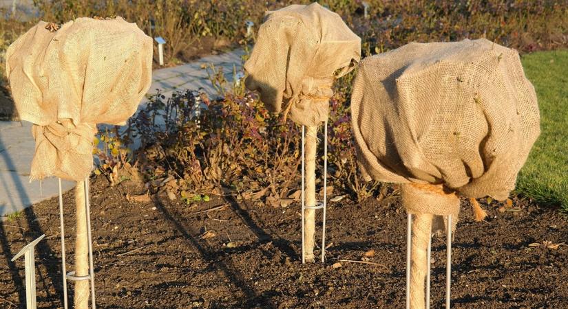 Fagy előtt egy héttel: a profi kertészek ellenőrzőlistája