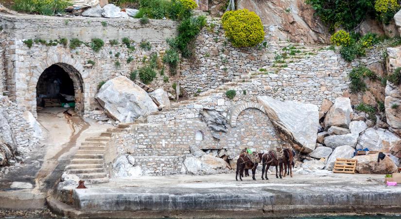 Lukács Flóra: Megtartó feszültség