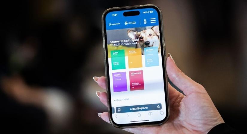 Új korszak jön az állattartásban: így lehet megelőzni az állatkínzást már az óvodában