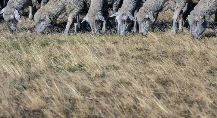 Ezt megsínyli a magyarok pénztárcája, bajban leszünk, ha nem jön változás