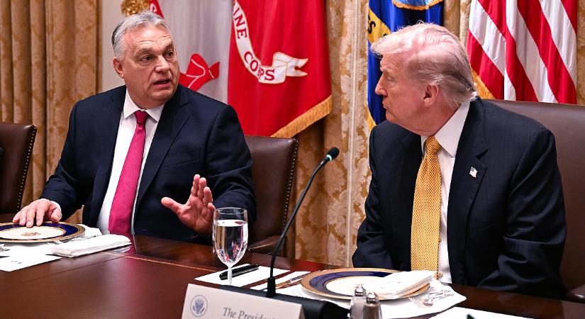 Megszólalt a sztárelemző: Trump még a barátainak is ritkán ad valamit ingyen