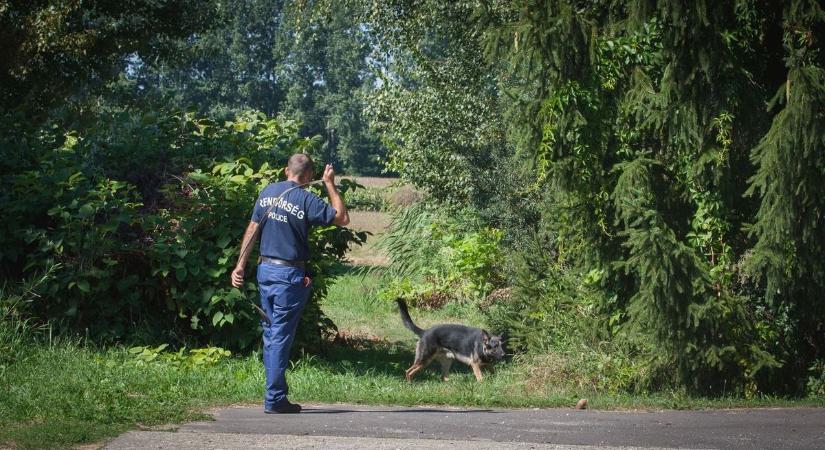 Tovább zajlik a keresés  újabb fotót közöltek az eltűnt pécsi orvosról