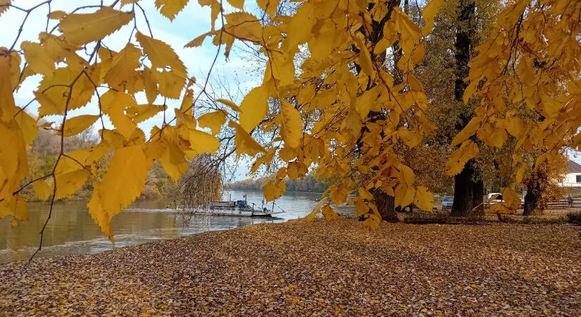 Őszi színpompa a Tisza-parton (fotókkal)