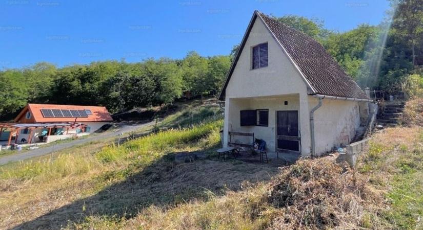 15 millióért bárki megkaphatja ezt a panorámás présházat ( galéria)