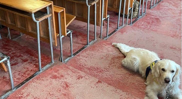 Doppler, a debreceni agrárosok terapeutája