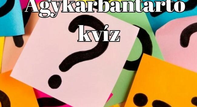 Agykarbantartó kvíz - Minden napra kell egy kis szellemi sikerélmény