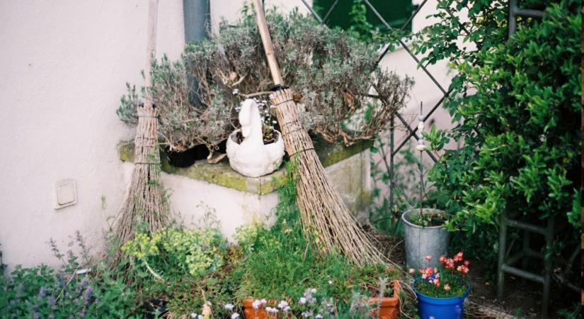 Ne söpörj koszos seprűvel! – Így tisztítsd meg helyesen, hogy tényleg tisztaság legyen utána