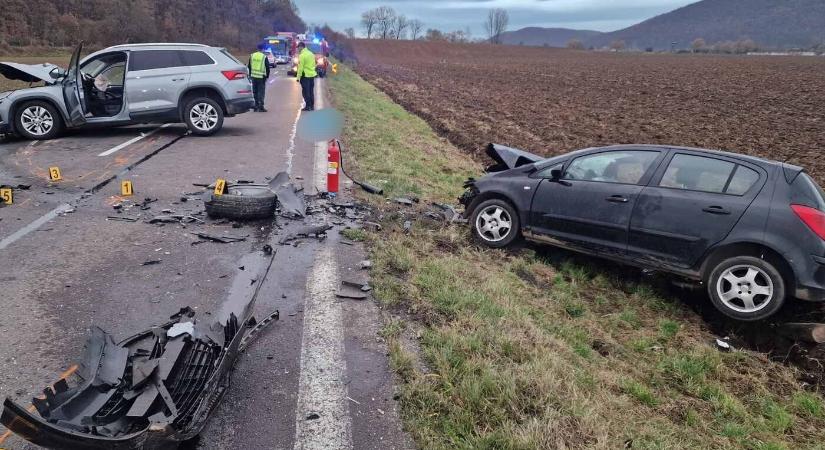 TRAGÉDIA: Frontális karambolban halt meg egy férfi, miután nagyvad ugrott az autó elé
