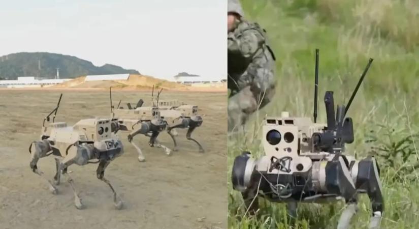 10 másodperc alatt feltörheti Tajvan védelmét Kína az új robothadsereggel – videó