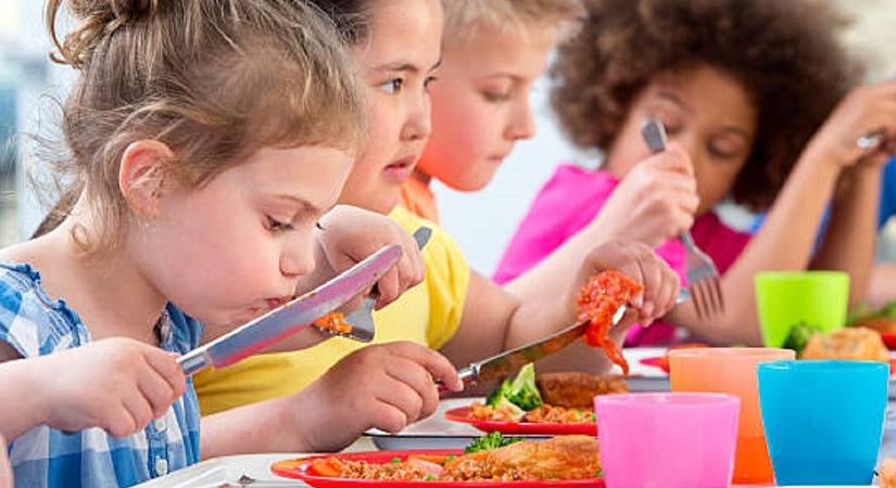 Több száz gyerek lett rosszul – megszólalt az étkeztető cég a tömeges megbetegedés után