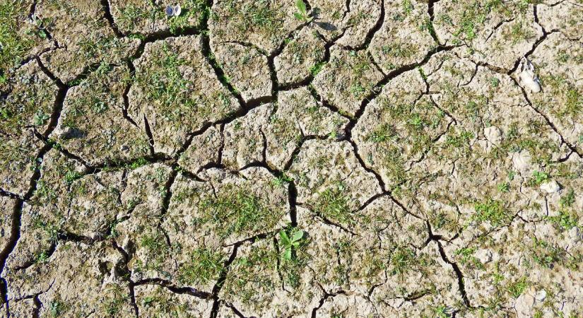 Brutális összegű támogatást kap a mezőgazdaság: ez mindent átalakíthat