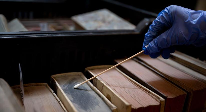Pannonhalmi rovarinvázió: így szabadítják meg a kincset érő könyveket a kártevőtől – Képgaléria