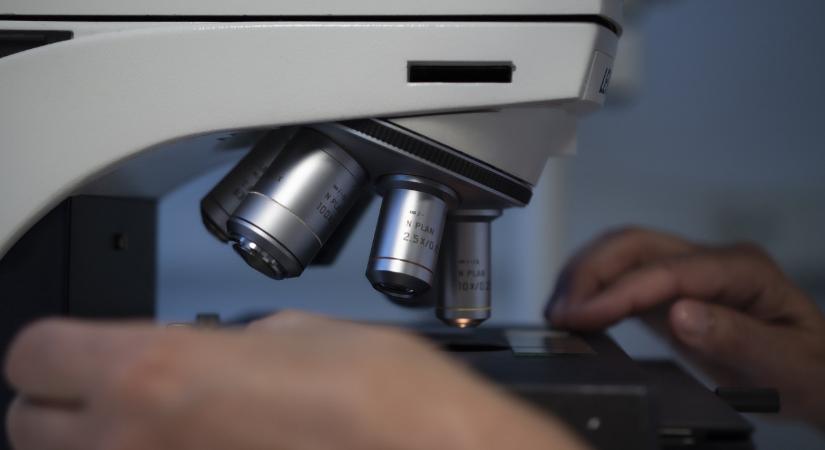 Összeáll a Fulbright és a Pannónia Ösztöndíjprogram