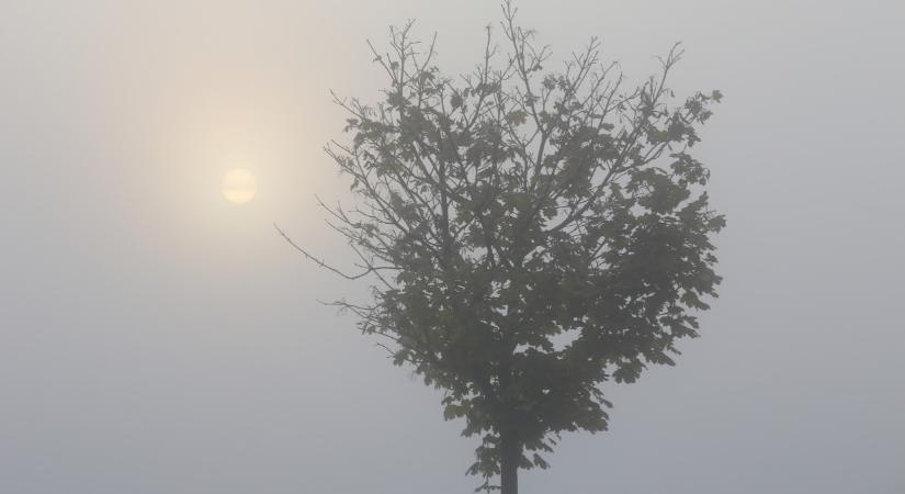 Olyan dolog történt ebben a 10 magyar városban, amilyet már rég láttunk