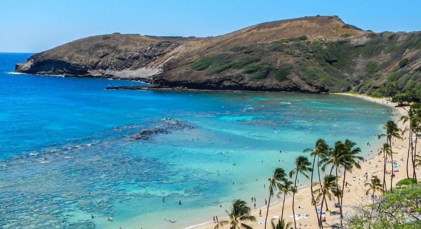 Amerika fantasztikus. Trump egy zseni. Orbán egy csoda