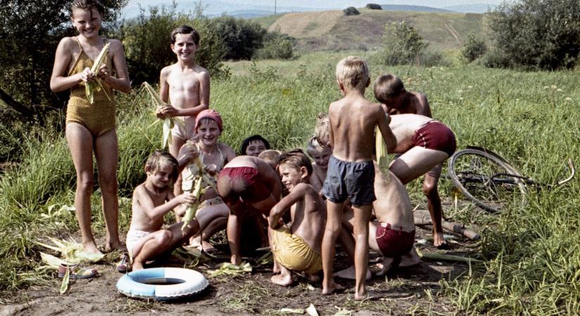 Naplóbejegyzések 5. (1990. augusztus)