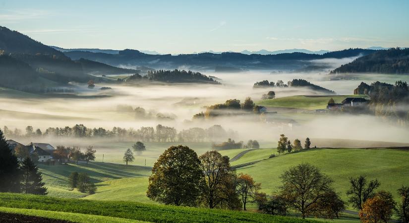 A világ GDP-jének fele a természetre épül