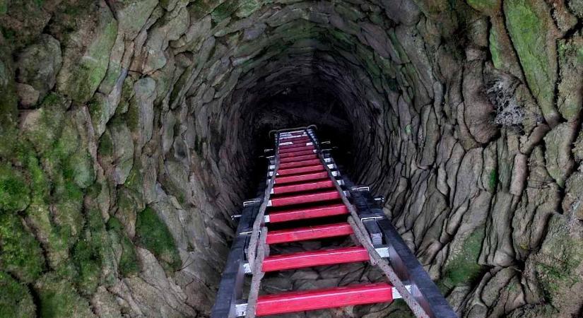 Kútba esett egy kutya Bakonyban – mutatjuk a cuki állatot és a hős megmentőt
