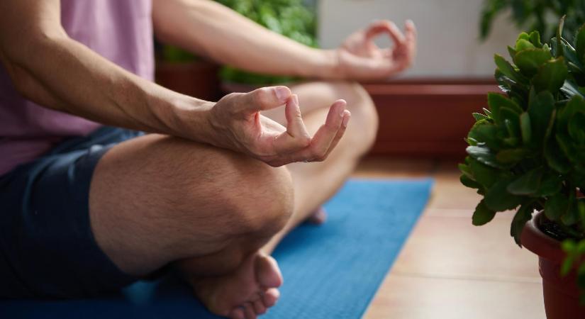 Papp Sándor Zsigmond: Harcos pózban