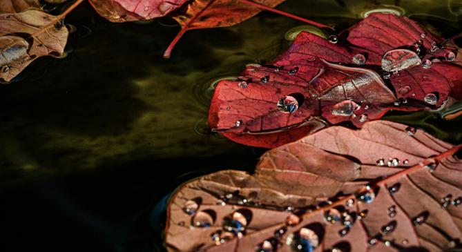 Töltődik az Alföld