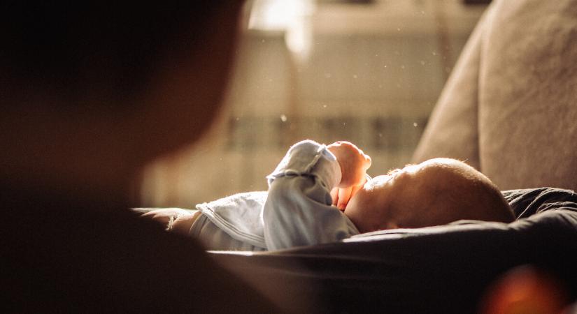 Mesterséges méhet fejleszt egy holland cég, segíthet megmenteni a koraszülött babák életét