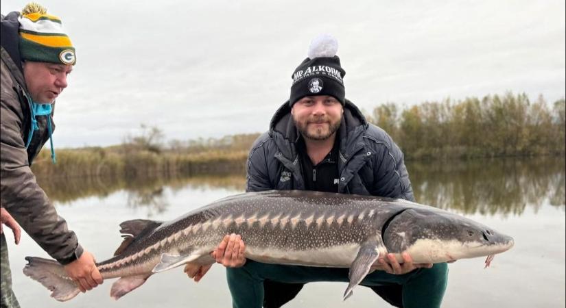 Elképesztő! Kenderesi Tamás nem a medencében, hanem a tóban alkotott nagyot: nem hiszed el, mit húzott ki a vízből
