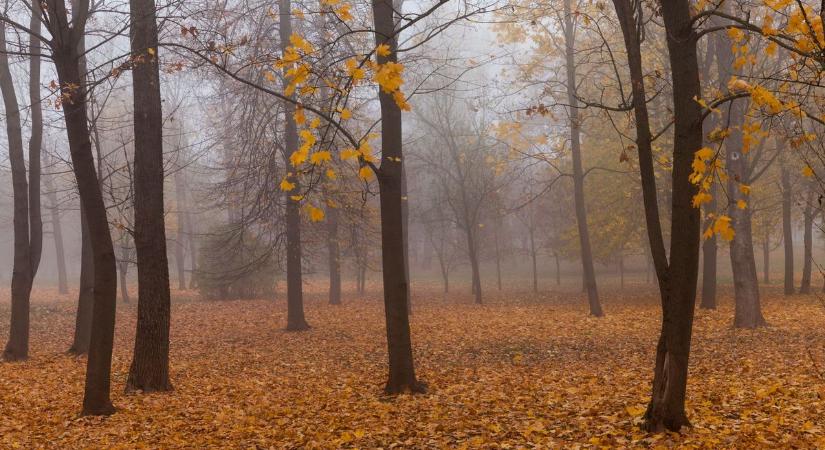 Ismét bizonytalanná válik a holnapi időjárás Szegeden