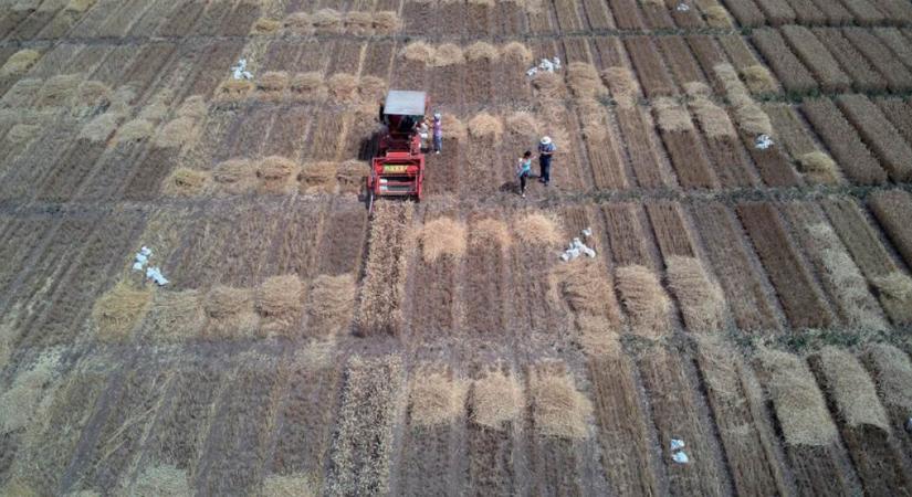 Egyre több helyen csökken a földek terméshozama a talajromlás miatt