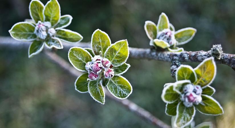 A következő napokban olyan fordulatot hoz az időjárás, amire egész hétvégén készülni kell