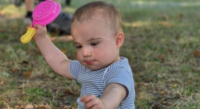 Megunt holminkkal is segíthetjük Bertold gyógyulását - jótékonysági vásárt szerveznek Bükkszéken