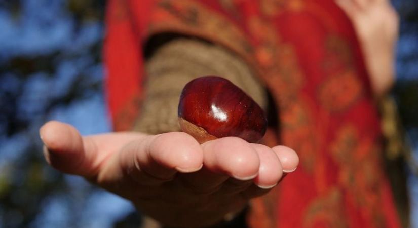 Extra gyors és isteni vendégváró: sült gesztenye air-fryerben, ahogy még nem kóstoltad (videóval)