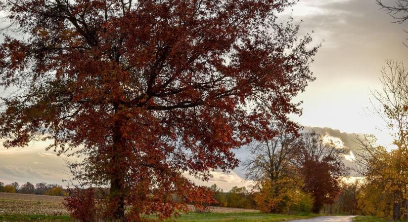 Reménysugár: vasárnap kisüthet a nap – milyen idő lesz holnap Kaposváron?