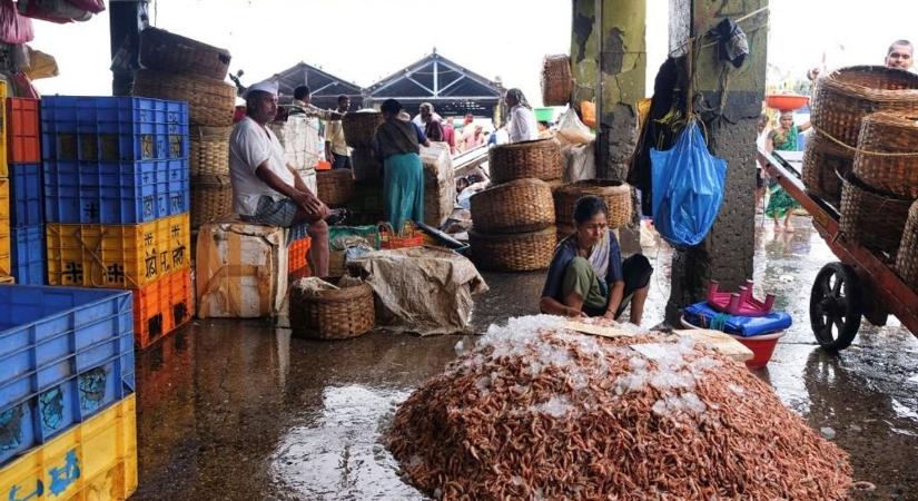 Milliók megélhetése került veszélybe: az amerikai vámok nem várt helyen sújtanak le az indiai gazdaságban