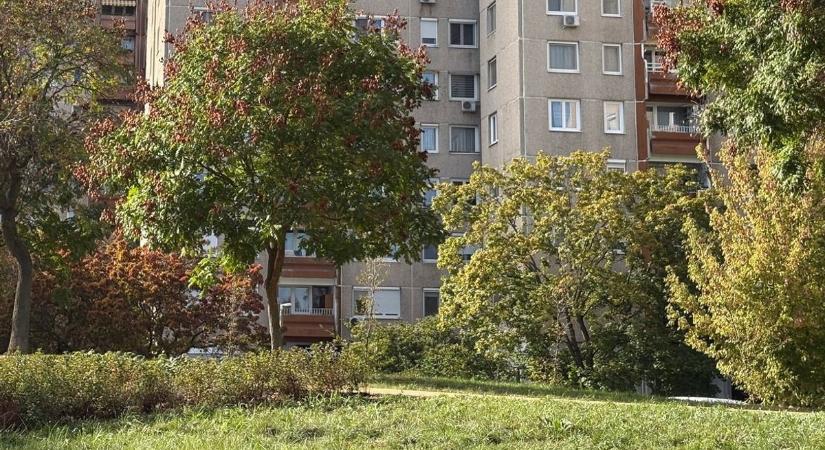 Felháborító! Ismeretlenek rongáltak Debrecenben, sokak életét megnehezíthették ezzel