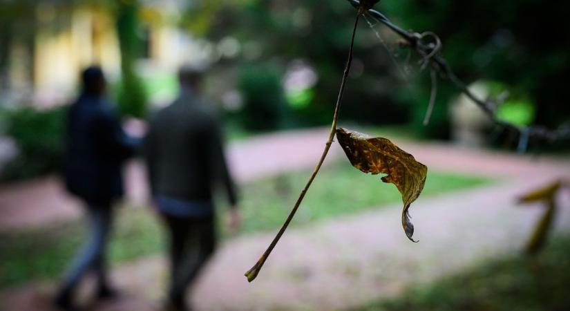 A varázslatos kertet mutatunk a Fertő-partján, ahol 21 forrás fakad - fotók