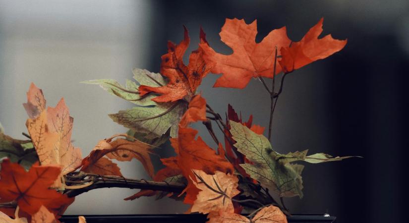 A reggel szürke, a délután fényes – így alakul a vasárnapi idő