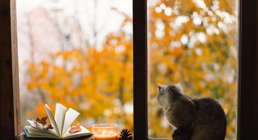 Milyen idő lesz vasárnap Tolnában? – Újra a napsütés lesz túlsúlyban